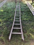 2No galvanised fruit picking ladders