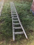 2No galvanised fruit picking ladders