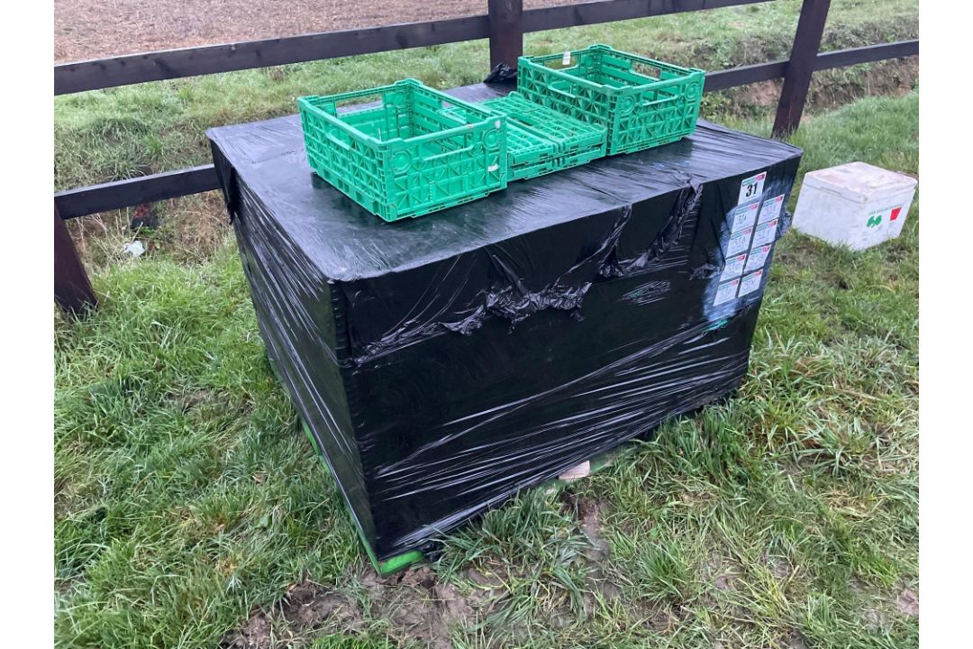 200 No IFCO folding plastic crates