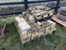 Quantity decorative serrated bricks