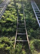 Galvanised fruit picking ladder