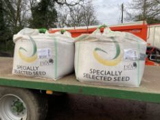 2 Tonnes CRAFT Winter Malting Barley Seed with Rancona Imix SPD Seed Treatment.
