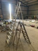 3 x Step Ladders,