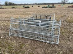 7 x Assorted Galvanised Metal Hurdles and puppy pen