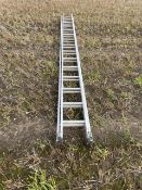 Set of Ladders