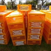 21 x D3 Giordano poultry crates