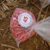 Bag of spare nipples (new) approx x 50