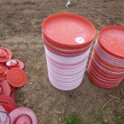 50 x chick feeder trays