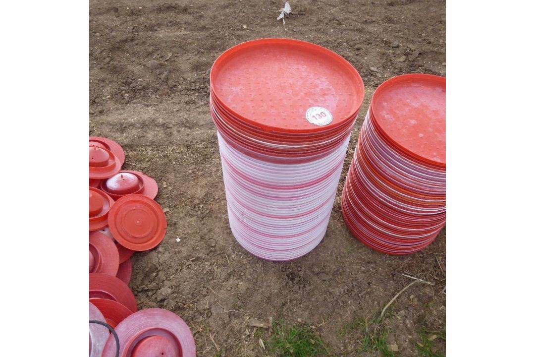 50 x chick feeder trays - Image 1 of 2