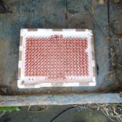 Tray of spare nipple drinkers