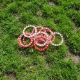 Approx 43 x chick rings for mini jumbo drinkers - Image 2 of 2