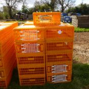 21 x D3 Giordano poultry crates