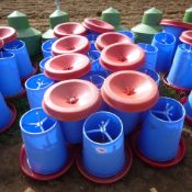 20 x Manola feeders with top hats