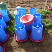 7 x Manola feeders 3 with top hats