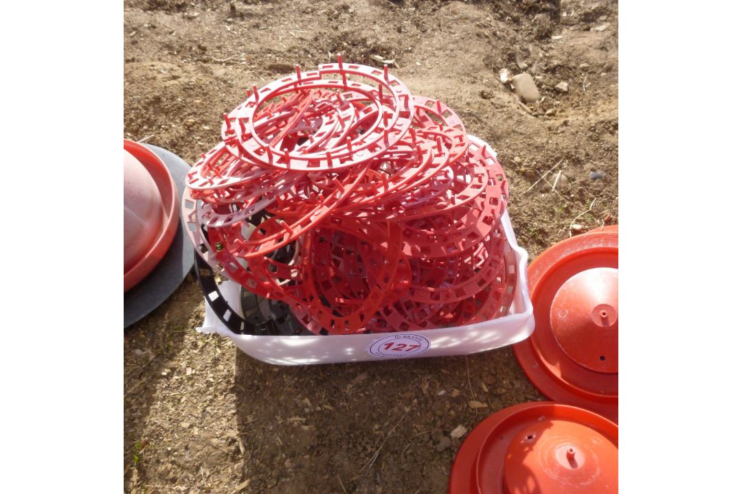 Approx 43 x chick rings for mini jumbo drinkers - Image 1 of 2