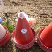 10 x Bell drinkers with valves