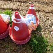 12 x Bell drinkers with valves