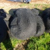 Pen net - 110ft x 42ft