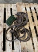 Quantity of Springtine Points and Tines