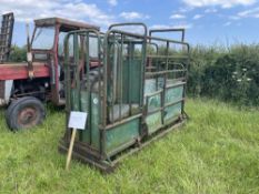 Urry cattle weight crush