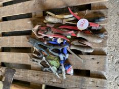 Quantity of Cattle Sundries inc dehorning equipment, ear tagging etc.