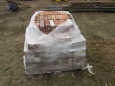 Bricks/Pavieres