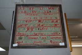 Framed Wool Work Sampler 1880