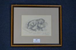 Pencil Sketch of a Pig and Chickens by Louisa Holt 1837