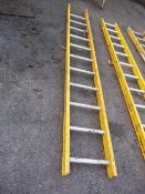 Eleven Tread Ladder