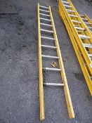 Eleven Tread Ladder
