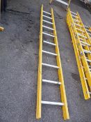 Ten Tread Ladder
