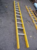 Eleven Tread Ladder