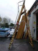 Nine Tread Decorators Steps