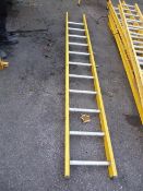 Eleven Tread Ladder