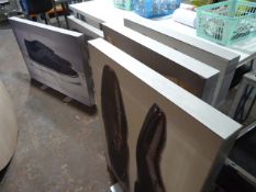 *Five Shoe Advertising Stands