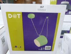 *Green Pendant Light with Dual Bracket Supports