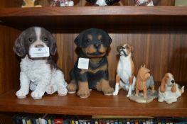 Five Dog Figures