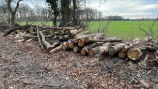 *Large Quantity of Timber in the Round to Include;