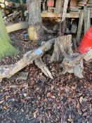 *~6 Decorative Logs and Stump Remains