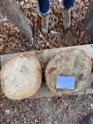 *Two Large Slices of Oak