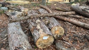 *7 Softwood Trunks and Timber in the Round