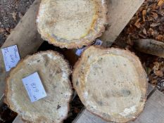 *Three Slices of Oak