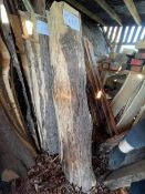 *Six Lengths of Ripple Sycamore ~1.7m