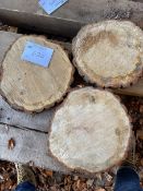 *Three Slices of Oak