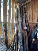 ~20 Birch Wood Poles ~3.5m long
