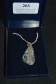 Abalone Necklace