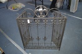 Wrought Iron Fire Screen