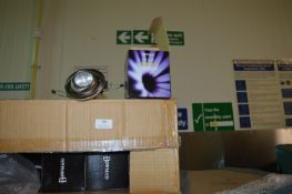 *~630 Bowman BOW-EBSC Eyeball Lights (satin chrome