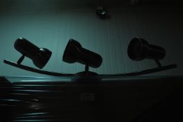 *~120 Endon 7635C Satin Chrome Three Spot Bode Cei