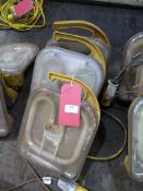 *Three 110v Work Lights